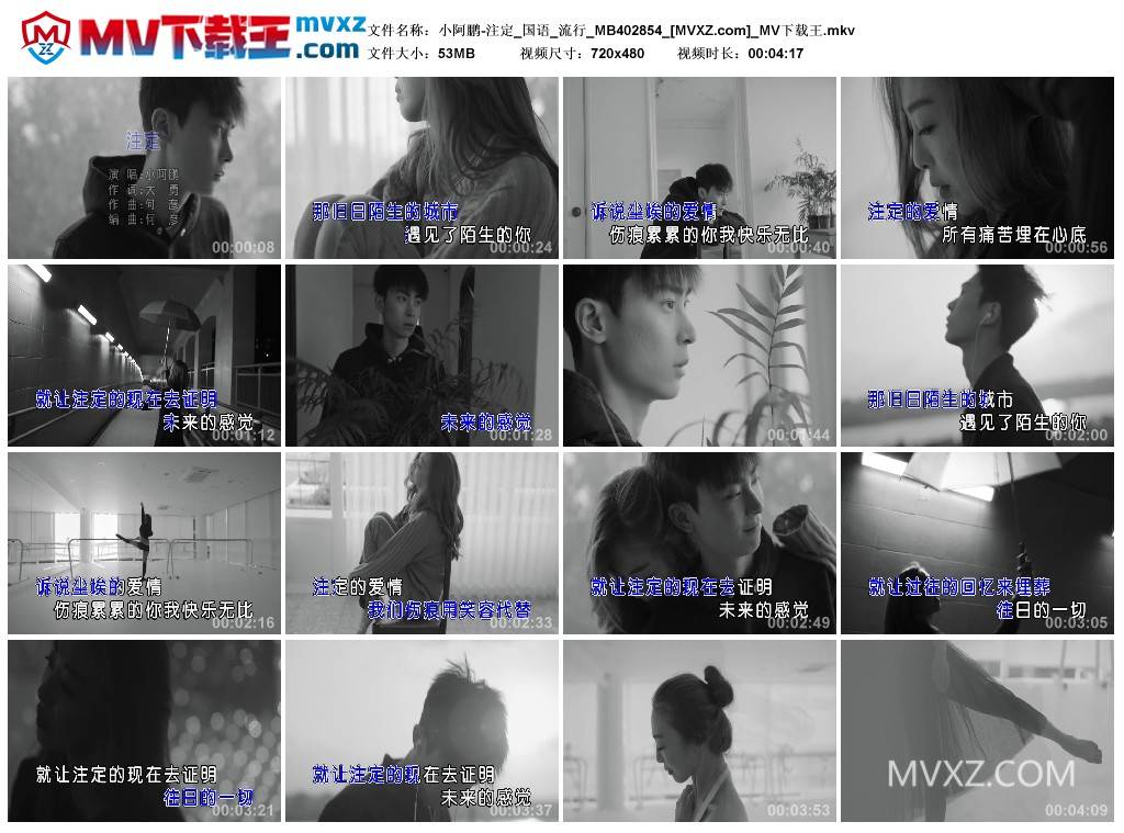 小阿鹏-注定_国语_流行_MB402854